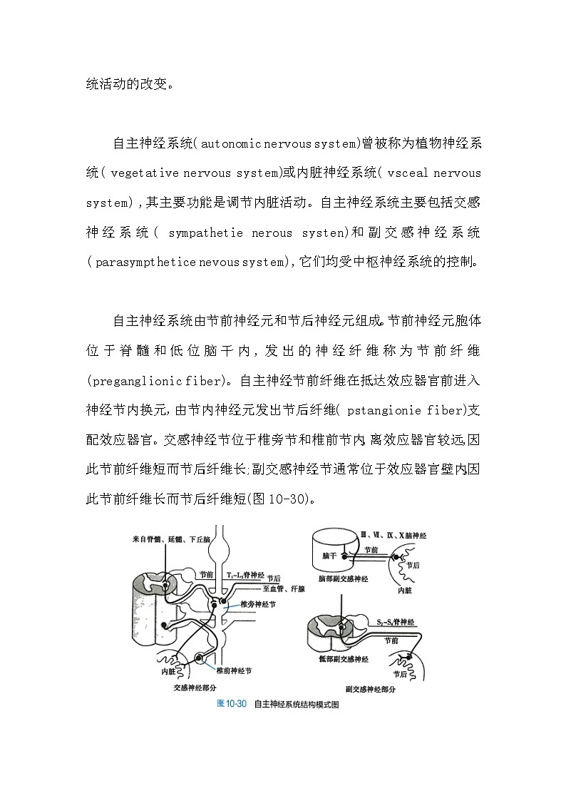 备课素材知识点：自主神经系统的功能和特征  高中生物人教版选择性必修1第2页