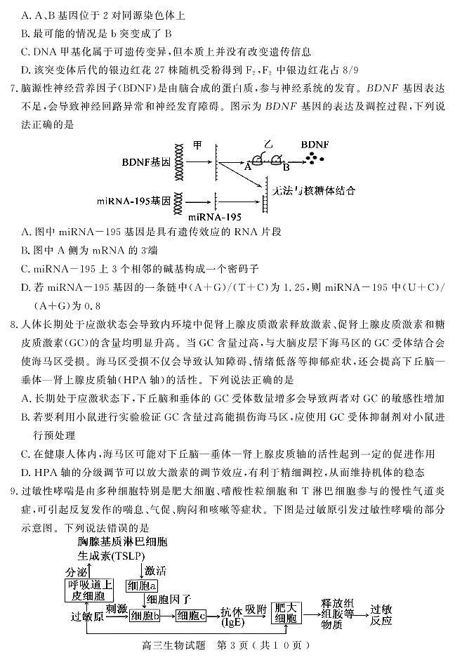 2024聊城高三上学期期末考试生物PDF版含答案03