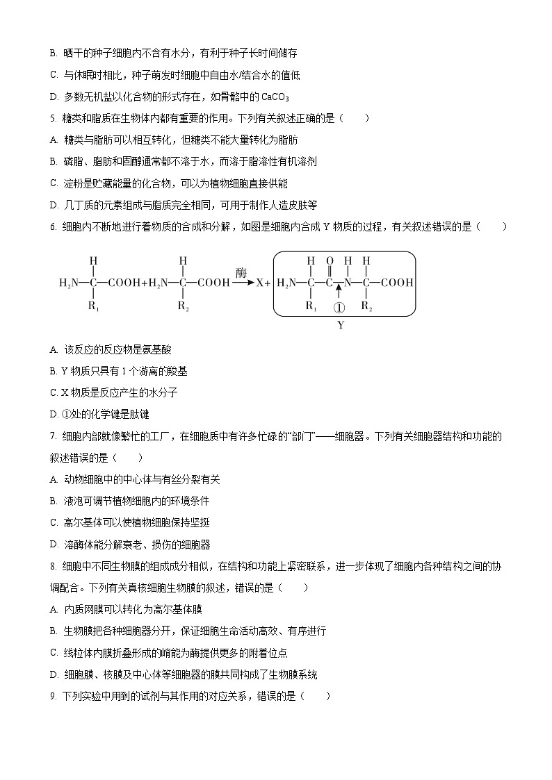 2024咸阳高一上学期期末考试生物含解析第2页