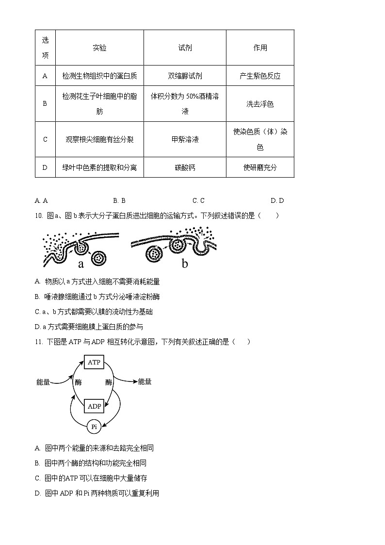 2024咸阳高一上学期期末考试生物含解析第3页