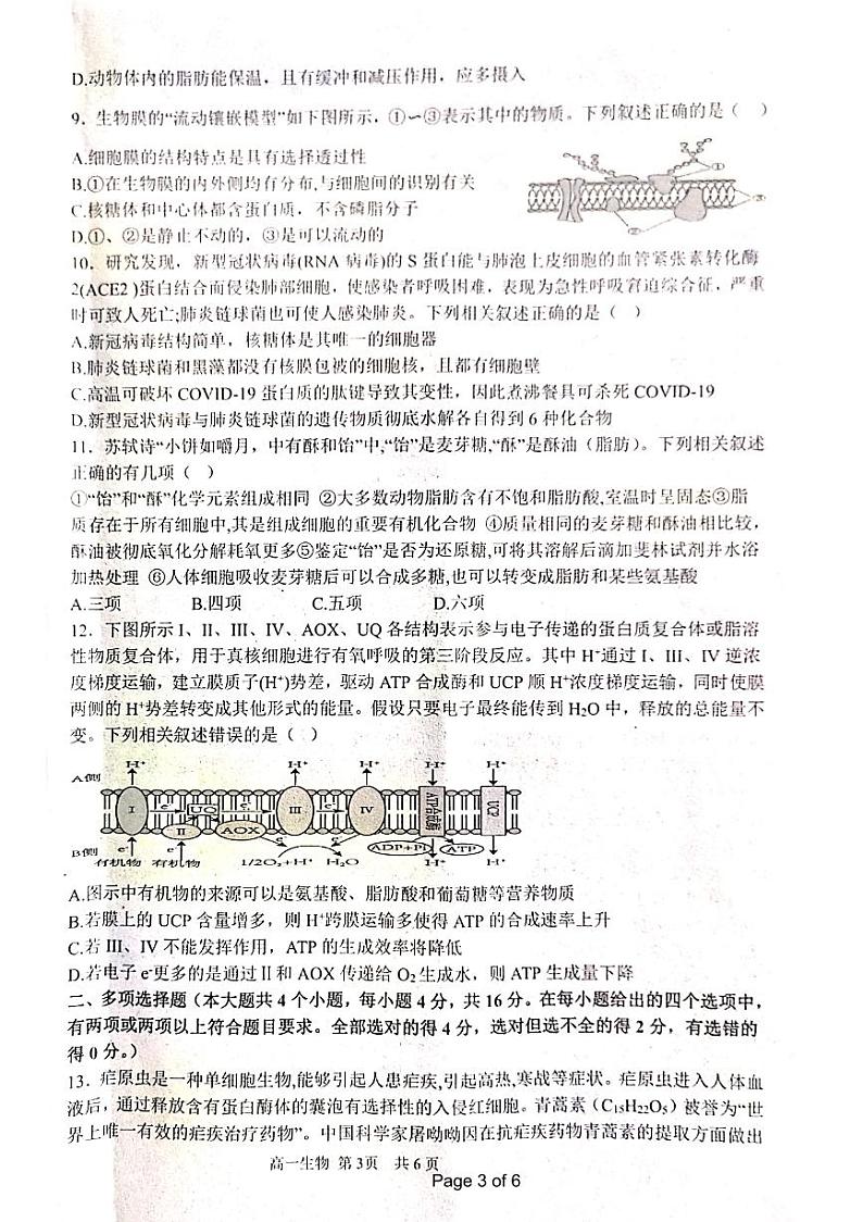 2024抚州高一上学期期末学生试题生物PDF版含答案第3页