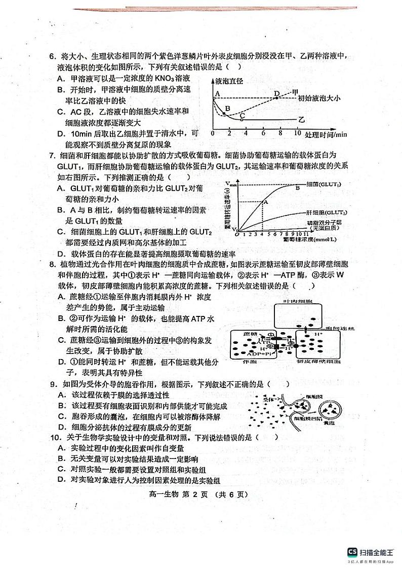 2024宿州省、示范高中高一上学期期末考试生物PDF版含答案第2页