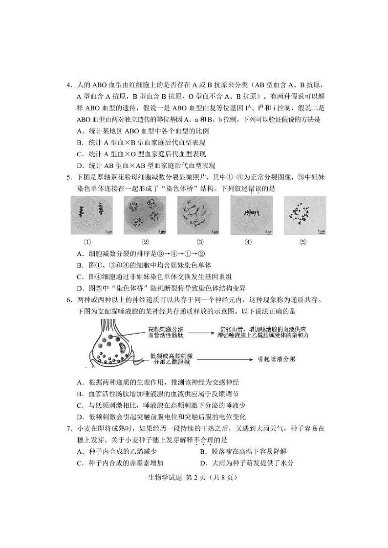 【生物试卷】湖南省长沙市2023-2024学年新高考适应性考试高三02