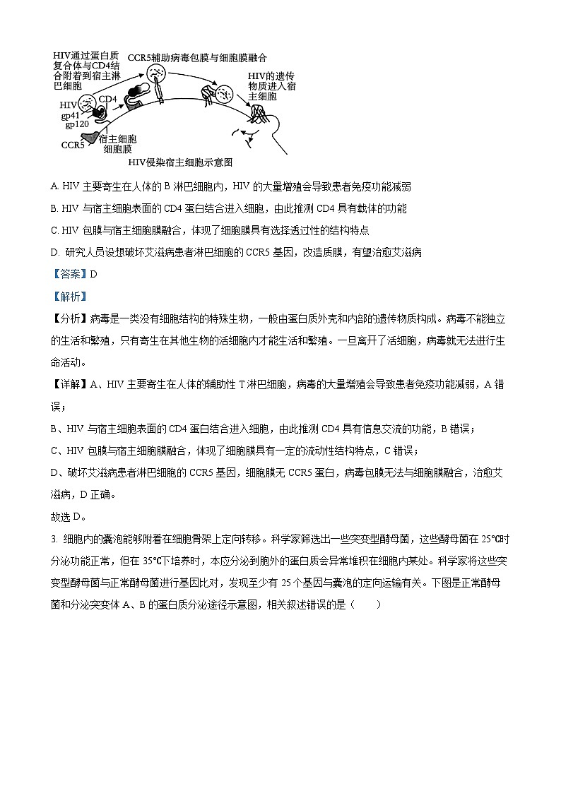 湖北省宜荆荆随恩2023-2024学年高三1月期末联考生物试题  Word版含解析第2页