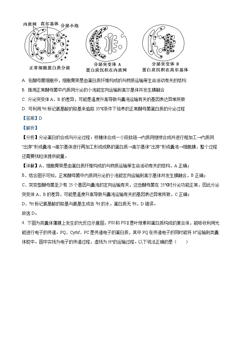 湖北省宜荆荆随恩2023-2024学年高三1月期末联考生物试题  Word版含解析第3页