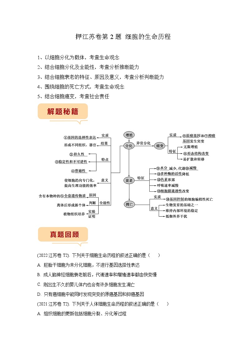 押江苏卷第2题 细胞的生命历程-备战高考生物临考题号押题（江苏卷）01