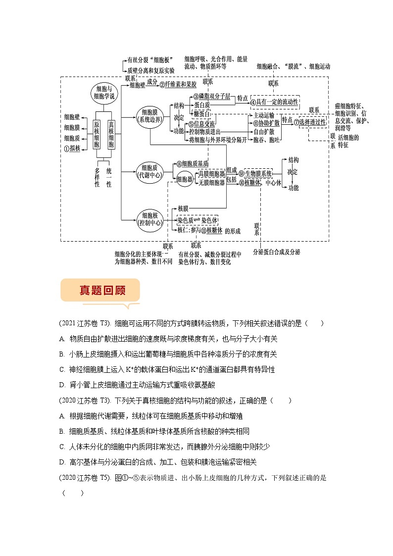 押江苏卷第3题 细胞结构和跨膜运输-备战高考生物临考题号押题（江苏卷）02