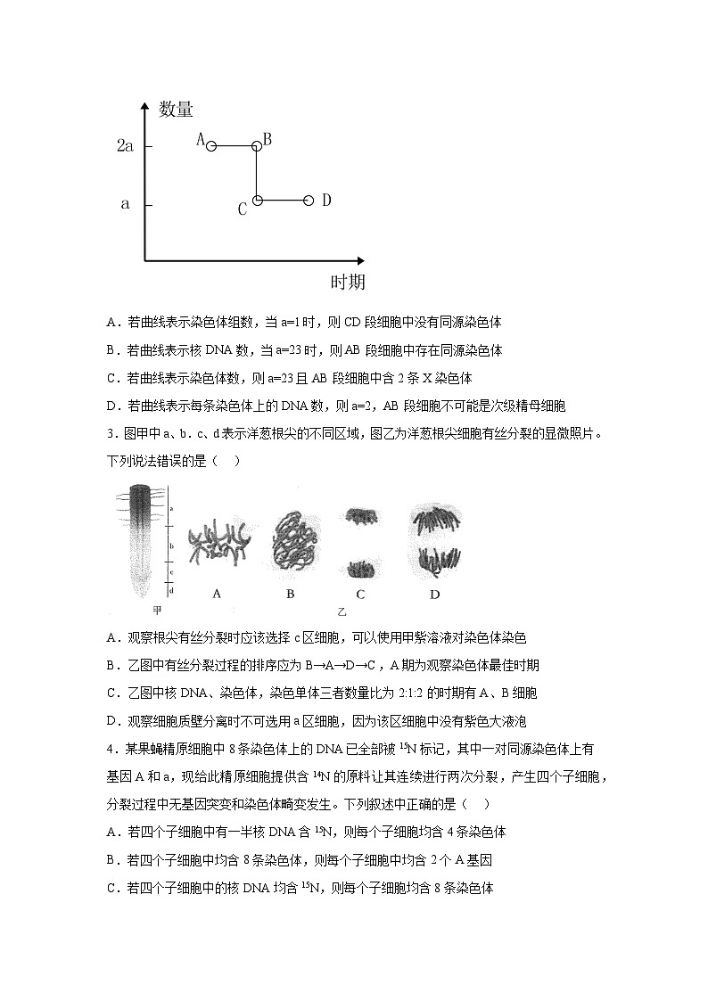 押江苏卷第7题 细胞分裂-备战高考生物临考题号押题（江苏卷）03