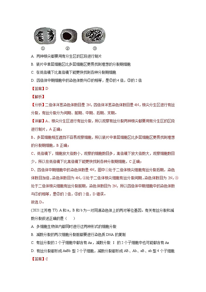押江苏卷第7题 细胞分裂-备战高考生物临考题号押题（江苏卷）02