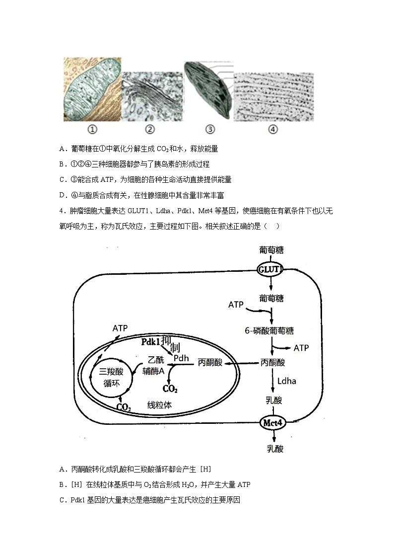 押江苏卷第15题 分子与细胞模块-备战高考生物临考题号押题（江苏卷）03