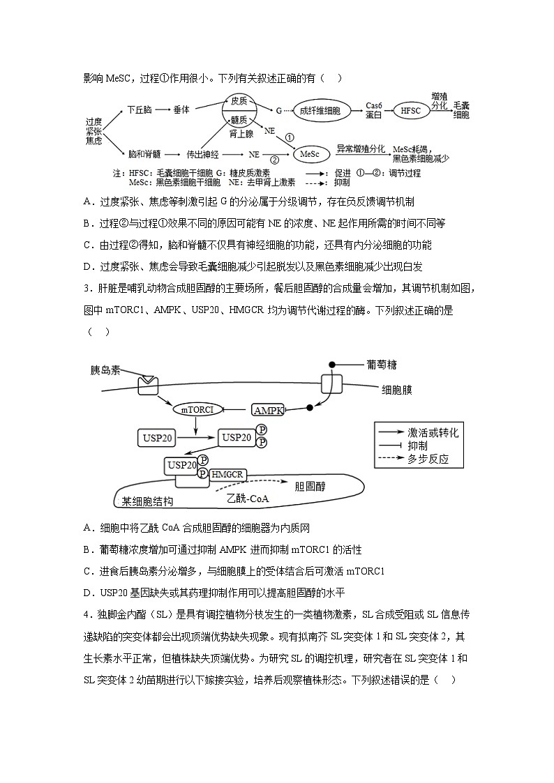 押江苏卷第17题 稳态与调节模块-备战高考生物临考题号押题（江苏卷）03