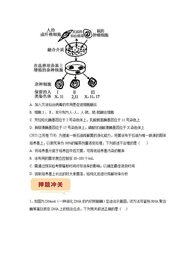 押江苏卷第19题 生物技术与工程模块-备战高考生物临考题号押题（江苏卷）02