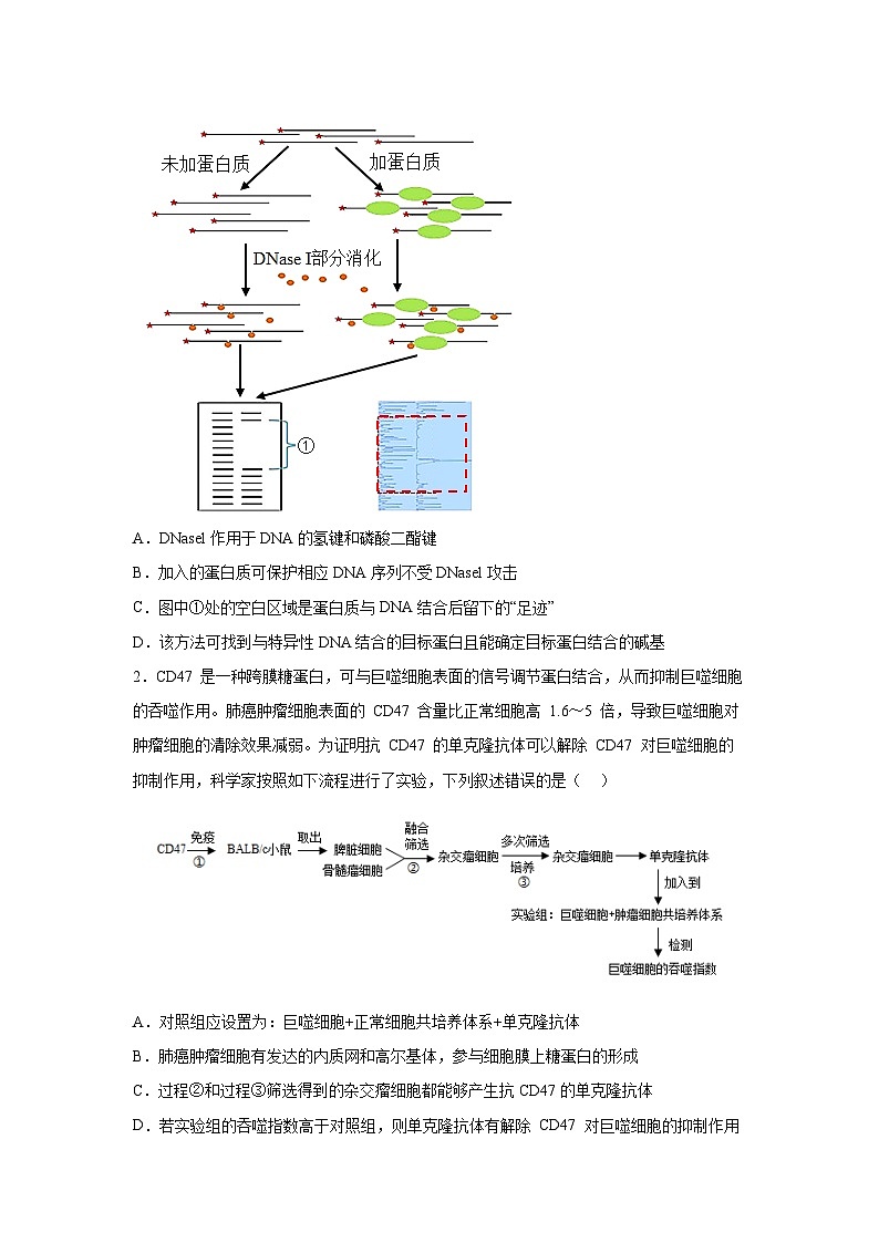 押江苏卷第19题 生物技术与工程模块-备战高考生物临考题号押题（江苏卷）03