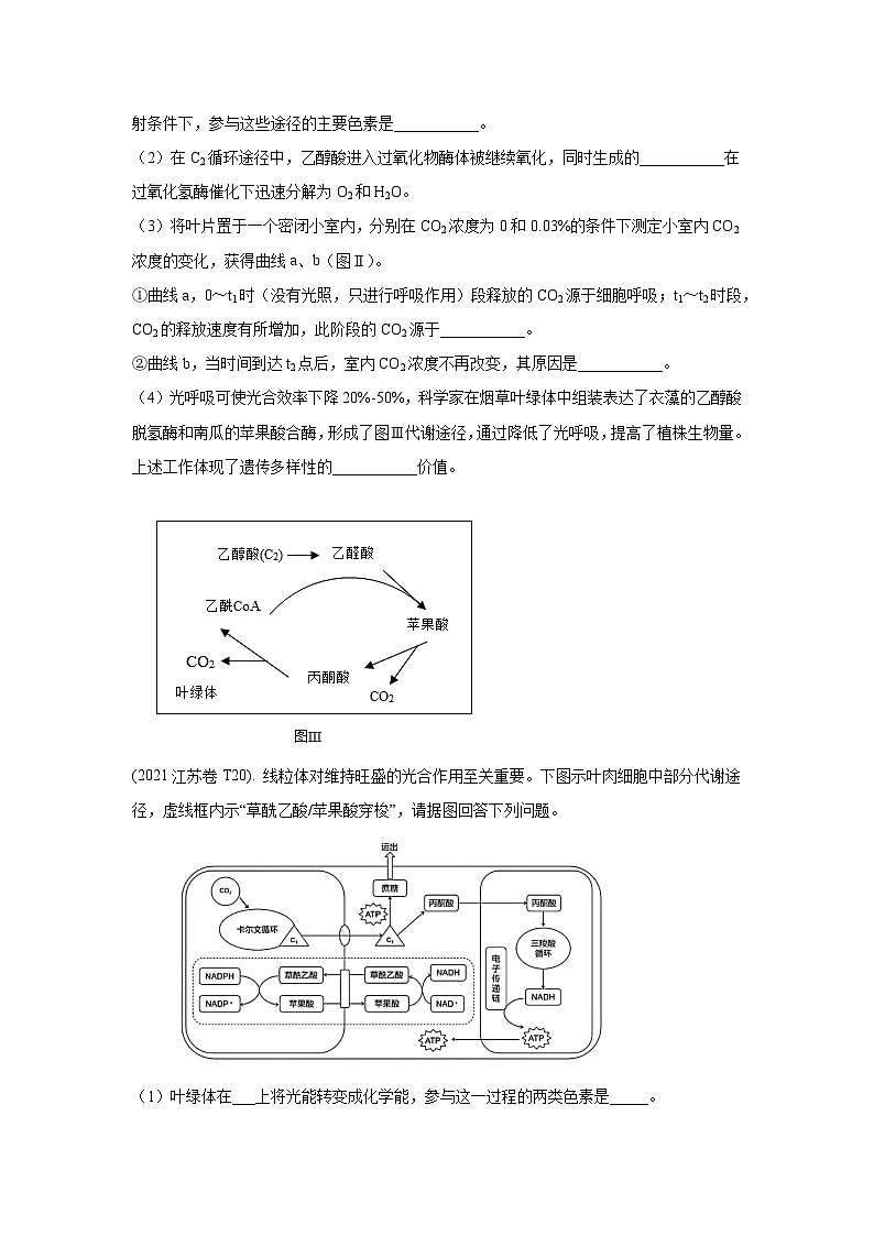 押江苏卷第20题 光合作用的应用-备战高考生物临考题号押题（江苏卷）03