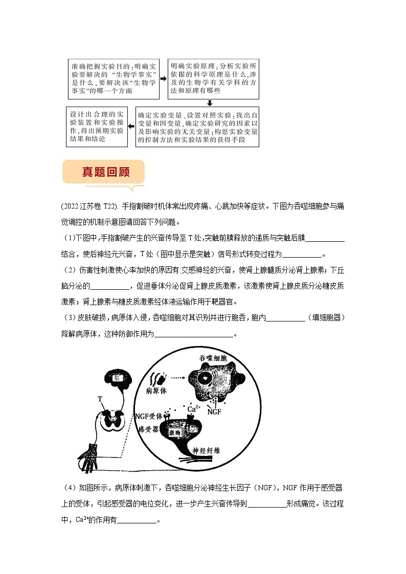 押江苏卷第21题 生命活动的调节主观题-备战高考生物临考题号押题（江苏卷）02