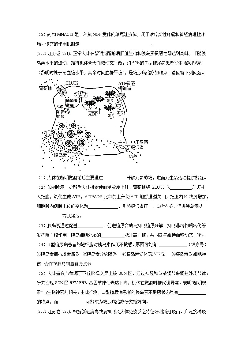 押江苏卷第21题 生命活动的调节主观题-备战高考生物临考题号押题（江苏卷）03