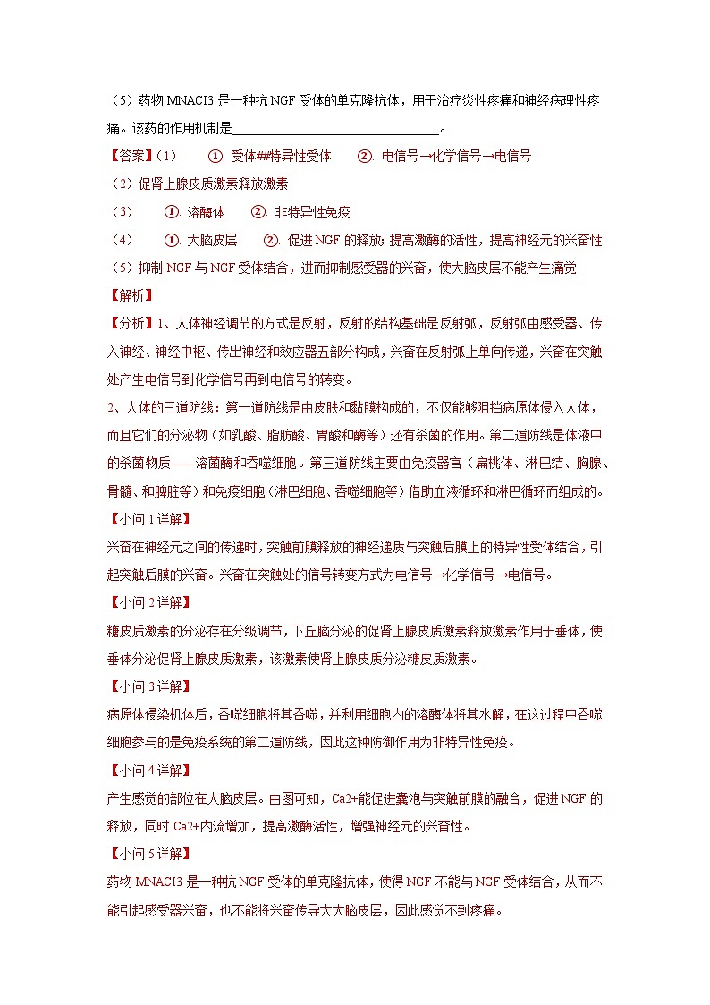 押江苏卷第21题 生命活动的调节主观题-备战高考生物临考题号押题（江苏卷）03