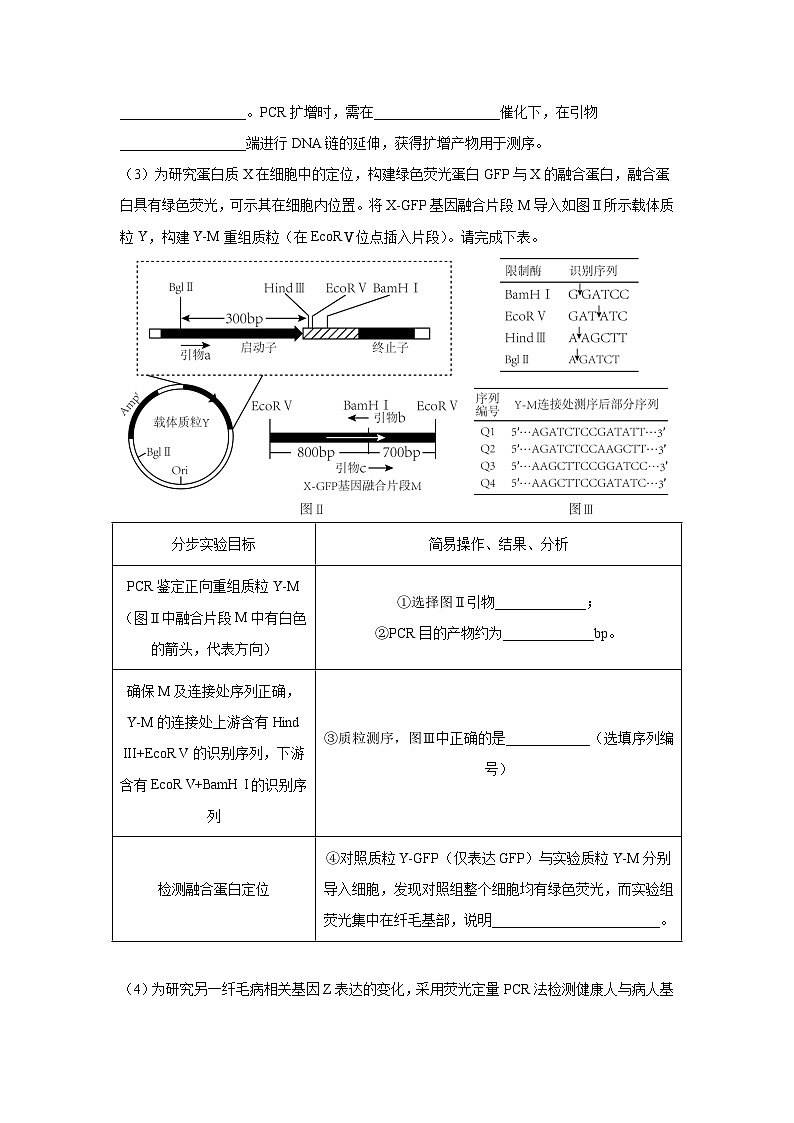 押江苏卷第24题 基因工程-备战高考生物临考题号押题（江苏卷）02