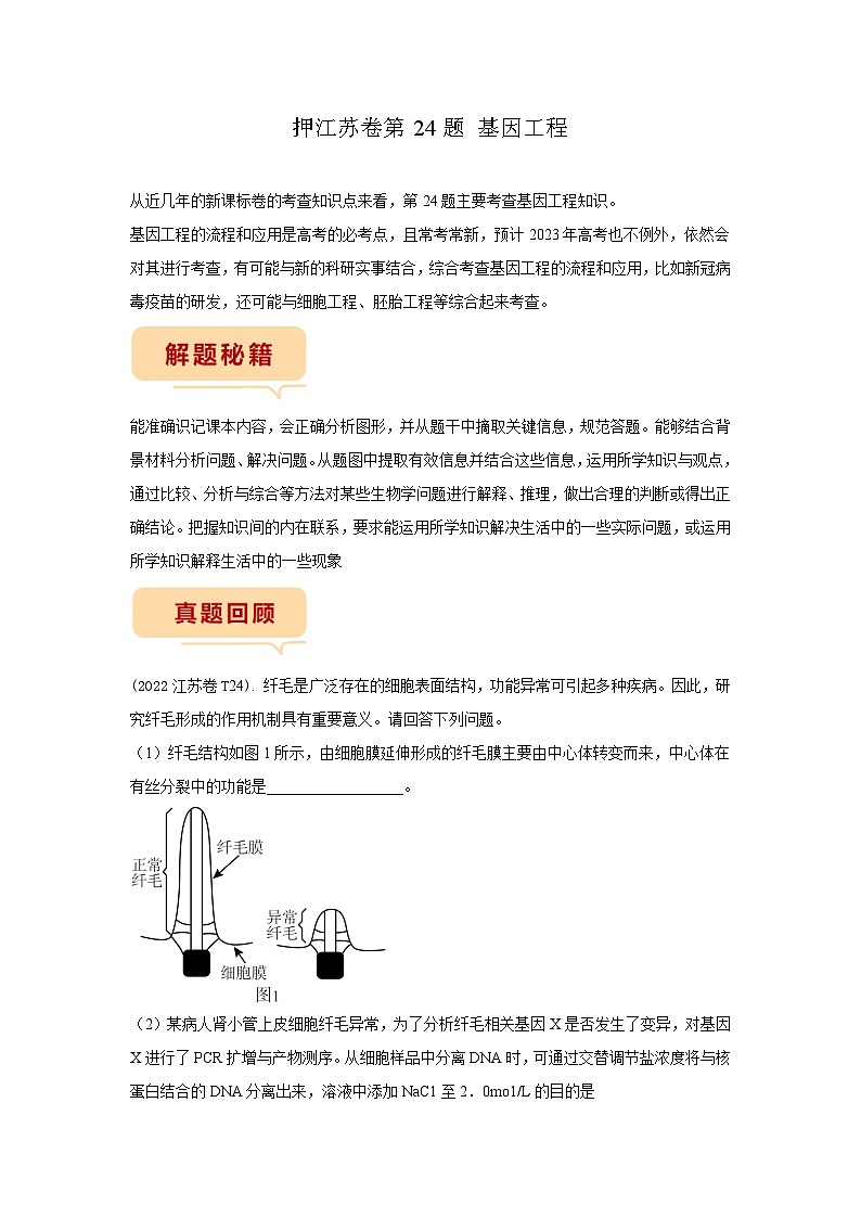 押江苏卷第24题 基因工程-备战高考生物临考题号押题（江苏卷）01
