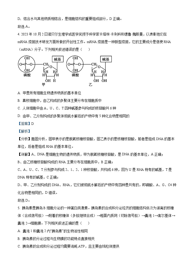 江西省赣州市2023-2024学年高一上学期期末生物试题（Word版附解析）03