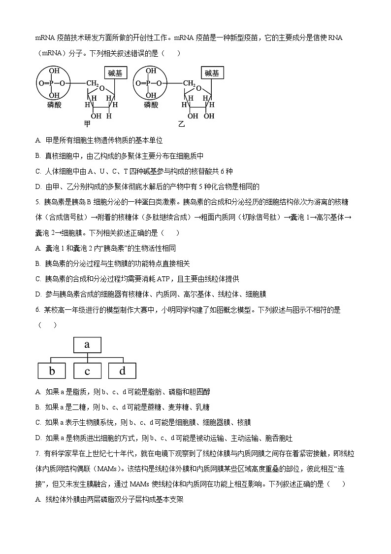 江西省赣州市2023-2024学年高一上学期期末生物试题（Word版附解析）02