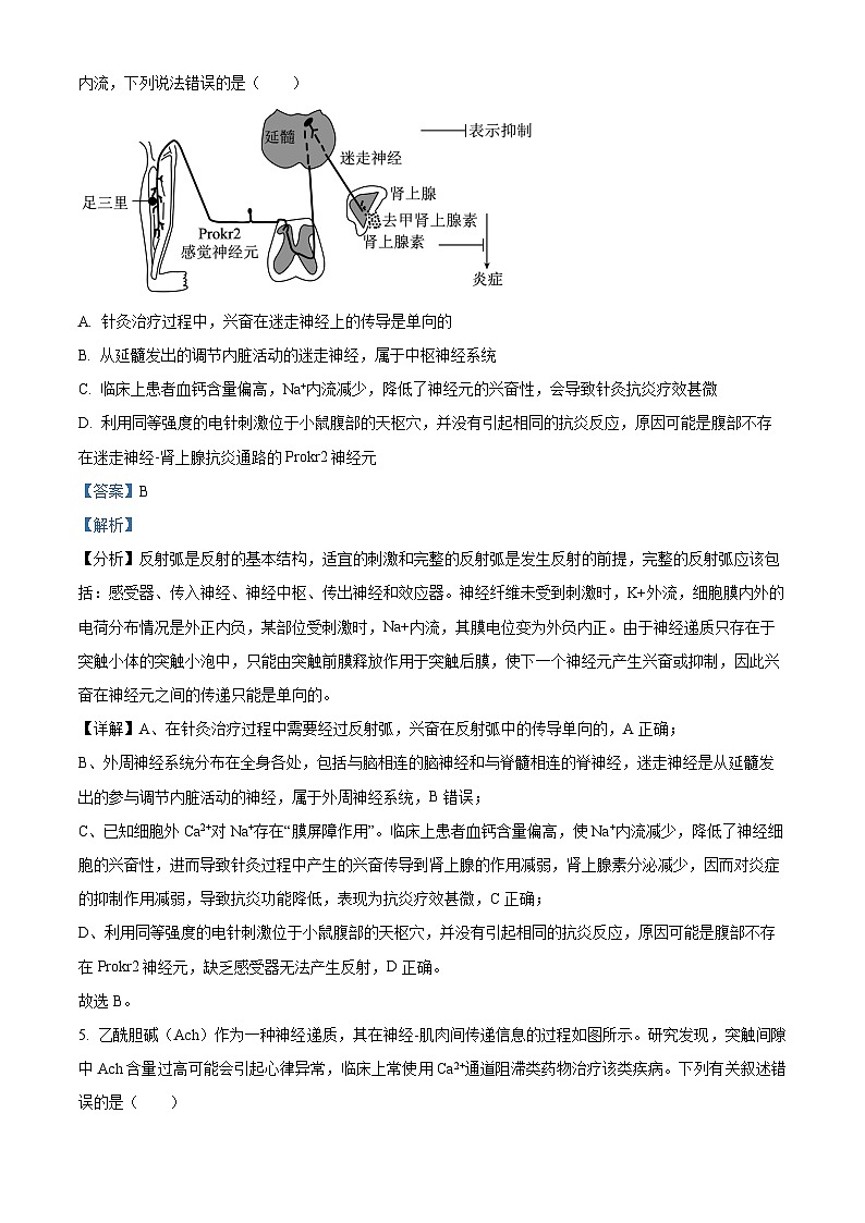 江西省上饶市2023-2024学年高二上学期期末教学质量测试生物试题（解析版）第3页