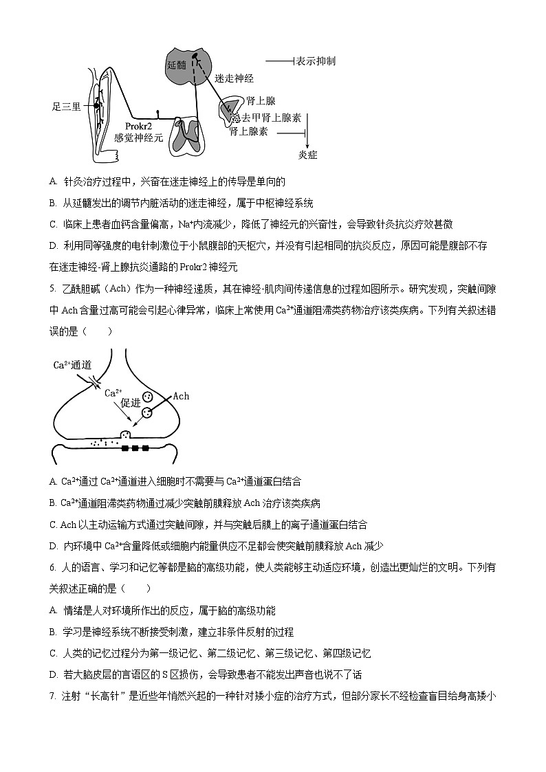 江西省上饶市2023-2024学年高二上学期期末教学质量测试生物试题（原卷版）第2页