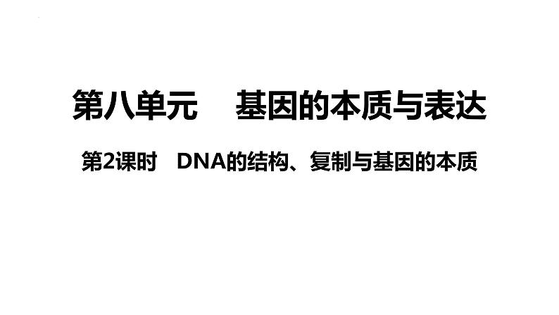 新教材备战高考生物一轮复习全考点精讲课堂  第14讲 DNA的结构、复制与基因的本质（课件）第3页