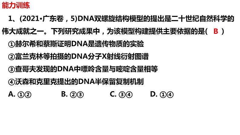 新教材备战高考生物一轮复习全考点精讲课堂  第14讲 DNA的结构、复制与基因的本质（课件）第6页