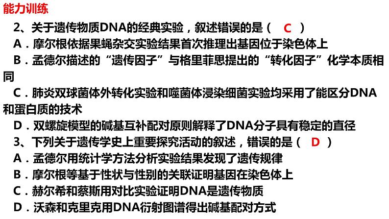 新教材备战高考生物一轮复习全考点精讲课堂  第14讲 DNA的结构、复制与基因的本质（课件）第7页