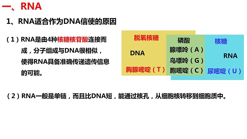 新教材备战高考生物一轮复习全考点精讲课堂  第15讲 基因表达与性状的关系（课件）05