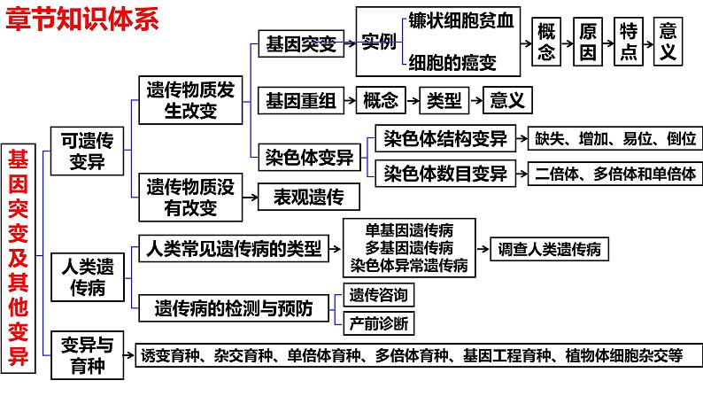 新教材备战高考生物一轮复习全考点精讲课堂  第16讲 基因突变和基因重组（课件）02