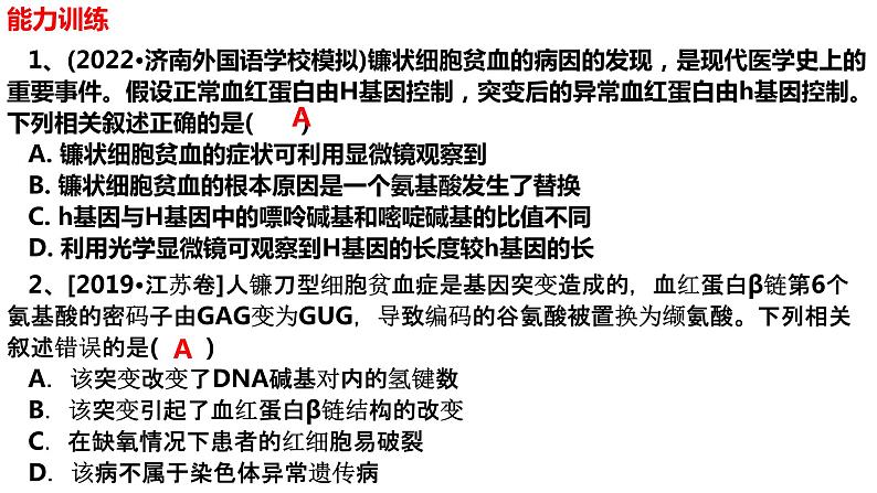 新教材备战高考生物一轮复习全考点精讲课堂  第16讲 基因突变和基因重组（课件）07