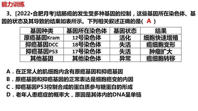 新教材备战高考生物一轮复习全考点精讲课堂  第16讲 基因突变和基因重组（课件）08