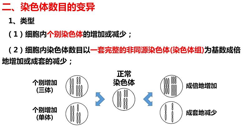 新教材备战高考生物一轮复习全考点精讲课堂  第17讲 染色体变异和人类遗传病（课件）第6页