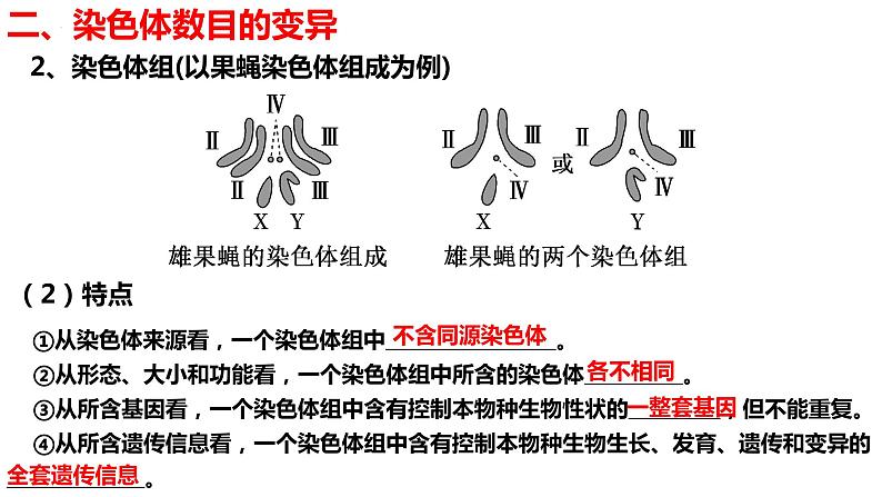 新教材备战高考生物一轮复习全考点精讲课堂  第17讲 染色体变异和人类遗传病（课件）第8页