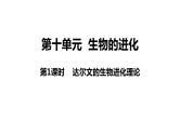 新教材备战高考生物一轮复习全考点精讲课堂  第19讲 生物的进化（课件）