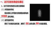 新教材备战高考生物一轮复习全考点精讲课堂  第19讲 生物的进化（课件）
