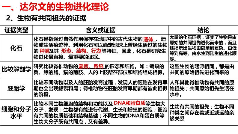 新教材备战高考生物一轮复习全考点精讲课堂  第19讲 生物的进化（课件）第6页