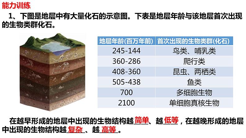 新教材备战高考生物一轮复习全考点精讲课堂  第19讲 生物的进化（课件）第7页