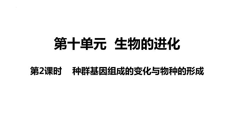 新教材备战高考生物一轮复习全考点精讲课堂  第20讲 种群基因组成的变化与物种的形成（课件）第3页