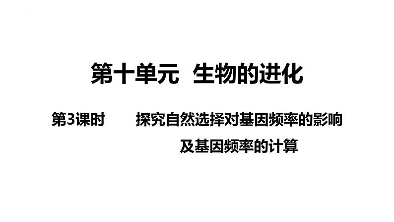 新教材备战高考生物一轮复习全考点精讲课堂  第21讲 探究自然选择基因频率的影响及基因频率的计算（课件）03