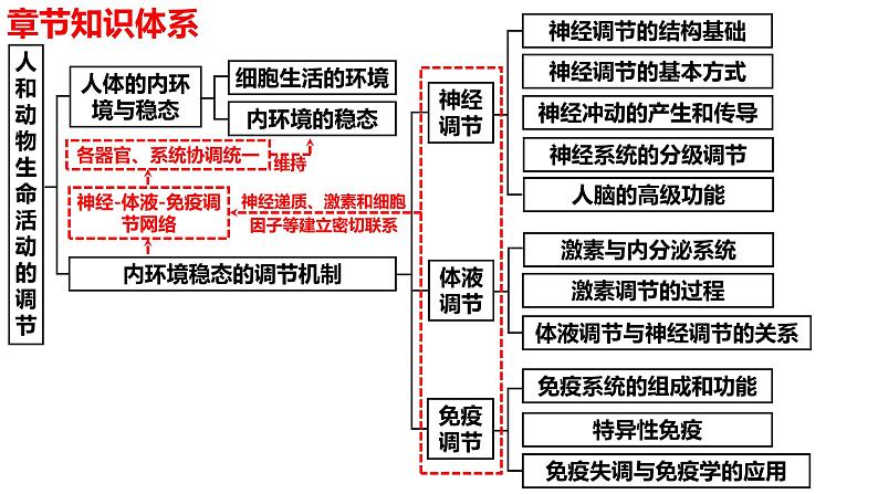 新教材备战高考生物一轮复习全考点精讲课堂  第22讲 人体的内环境及其稳态（课件）第2页