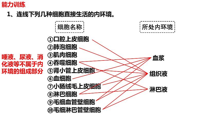 新教材备战高考生物一轮复习全考点精讲课堂  第22讲 人体的内环境及其稳态（课件）第6页