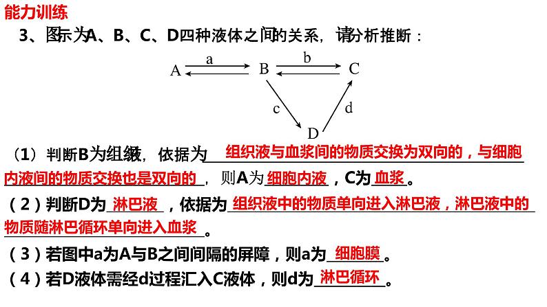 新教材备战高考生物一轮复习全考点精讲课堂  第22讲 人体的内环境及其稳态（课件）第8页