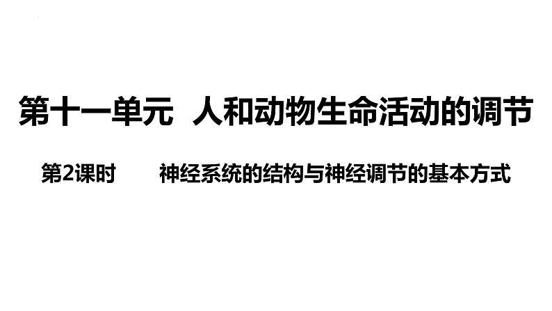 新教材备战高考生物一轮复习全考点精讲课堂  第23讲 神经系统的结构与神经调节的基本方式（课件）第3页