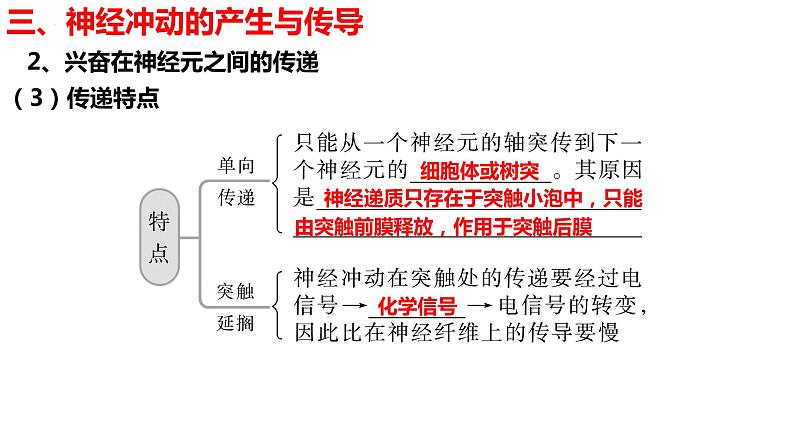 新教材备战高考生物一轮复习全考点精讲课堂  第24讲 神经冲动的产生和传导、神经系统的分级调节及人脑的高级功能（课件）08