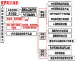 新教材备战高考生物一轮复习全考点精讲课堂  第25讲 体液调节（课件）