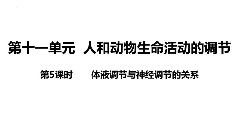 新教材备战高考生物一轮复习全考点精讲课堂  第26讲 体液调节与神经调节的关系（课件）03