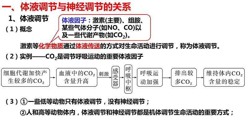 新教材备战高考生物一轮复习全考点精讲课堂  第26讲 体液调节与神经调节的关系（课件）05